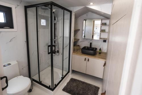 a bathroom with a shower and a toilet at ARIETES MARMONT Resort TINY Houses in Tatranska Strba