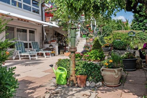 Κήπος έξω από το Ferienwohnung im Liestengarten