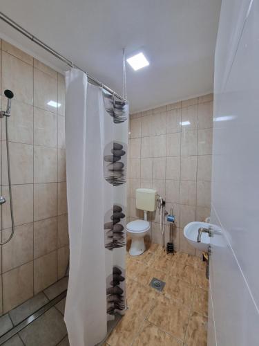 a bathroom with a shower with a toilet and a shower curtain at Apartman CENTAR 1 in Jajce