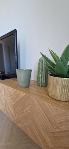 two plants sitting on top of a dresser with a tv at Suite Panorama in Marconia