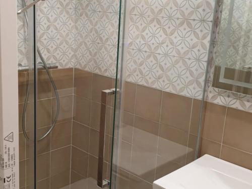 une douche avec une porte vitrée dans une salle de bain dans l'établissement Studio cabine confortable - Accès pistes, animaux admis - FR-1-181-2712, à Aime La Plagne