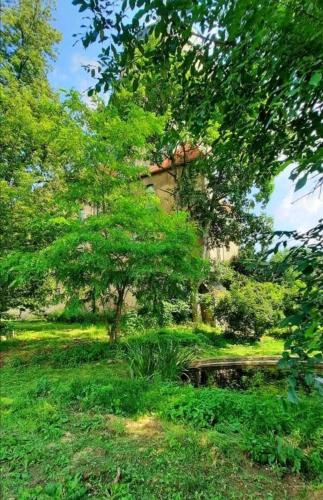 Taman di luar Schloss Ruhethal