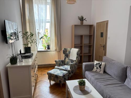 Televisyen dan/atau pusat hiburan di Apartamenty Stare Miasto Boho Parking