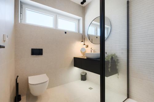 a bathroom with a toilet and a sink and a mirror at Villa dell Re in Žminj