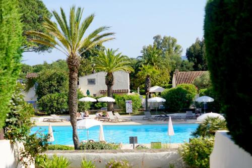- une piscine bordée de palmiers, de chaises et de parasols dans l'établissement Solenzia, appartement luxueux à 100m de la plage, à Saint-Tropez