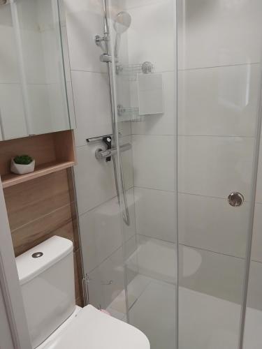 une salle de bain avec une douche en verre et des toilettes dans l'établissement Studio Aix Centre Historique, à Aix-en-Provence