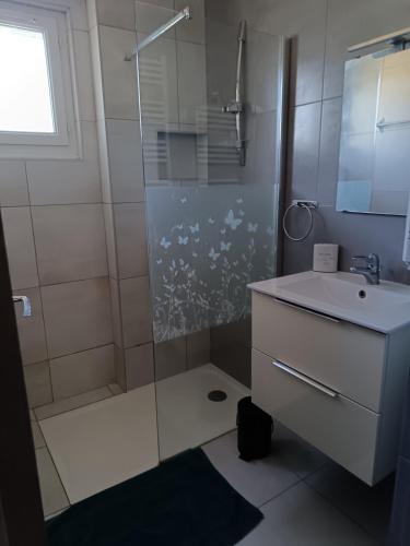 une salle de bain avec douche et lavabo dans l'établissement L'Escale Pernoise, 2-6 personnes, à Pernes-les-Fontaines