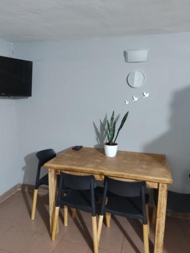 een houten tafel met stoelen en een potplant erop bij Quinti in La Rioja