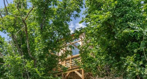 une maison entourée d'arbres dans les bois dans l'établissement L'Observatoire Sauvage - Amboise, à Amboise
