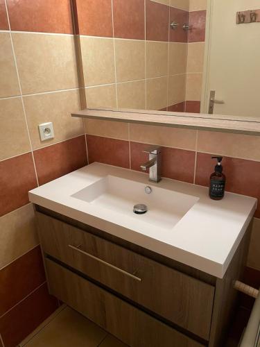 une salle de bain avec un lavabo et un miroir dans l'établissement Studio 25 m2 Vendôme au cœur d'Aix-Les-Bains, balcon, à Aix-les-Bains