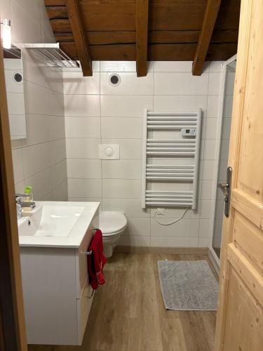 une salle de bain avec un lavabo blanc et des toilettes dans l'établissement Chaleureux Duplex - Ski & Rando, à Samoëns