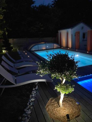 un bonsaï posé sur une terrasse à côté d'une piscine dans l'établissement Maison - villa avec piscine proche commerce et transports en commun, à Couëron