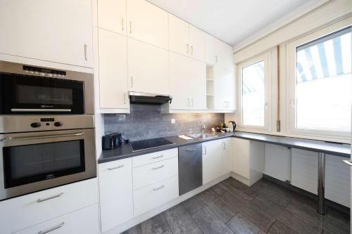 Spacious Zurich Apt Huge Terrace & Views
