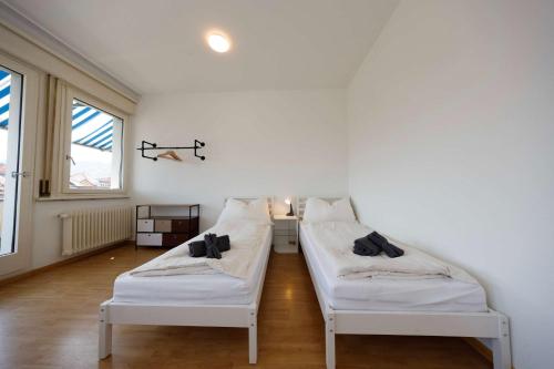 Spacious Zurich Apt Huge Terrace & Views