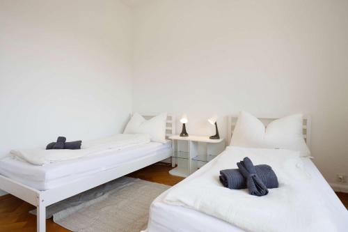 Spacious Zurich Apt Huge Terrace & Views