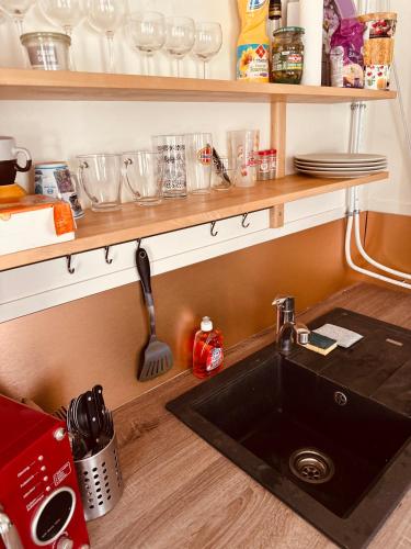a kitchen counter with a sink and a shelf with dishes at Grand T2 tout confort 48 M2 - Offre cinéma et sport canal séries, netflix, Dazen, eurosport, apple TV, OCS, paramount, prime vidéo in Nancy
