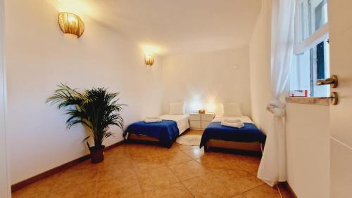 Lazaro Beach House