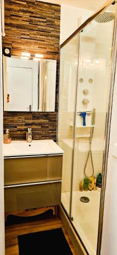 une salle de bain avec un lavabo et une douche dans l'établissement Villa Sous les Pins, au Cap d'Agde