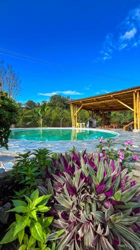SevillaにあるHotel Hacienda Inglaterraのプールの前の紫色の植物の束