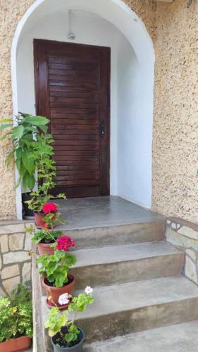 a set of stairs with potted plants in front of a door at Стаи за гости Роса in Rosno