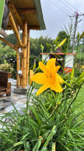 Hotel Hacienda Inglaterraにある庭