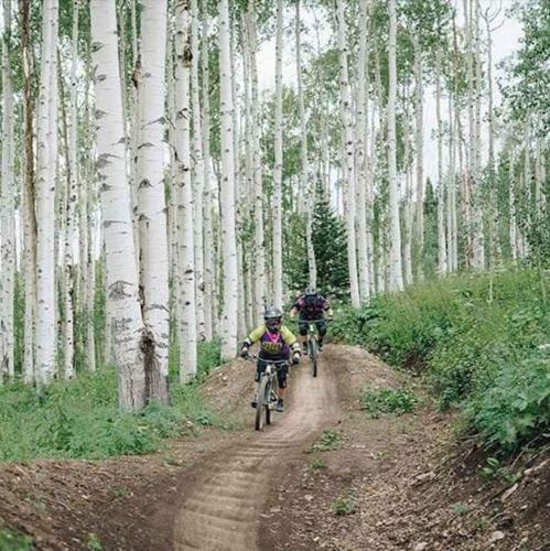 two people riding bikes down a dirt road in a bamboo forest at New Listing 2BR 2BA Condo - Mountain Views in Aspen