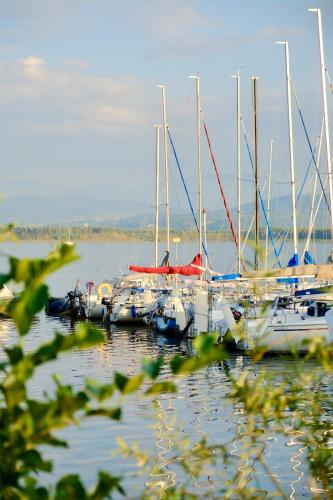a group of boats are docked in the water at Laguna Beskidów Resort - Apartament Perłowy Wellness in Bierna