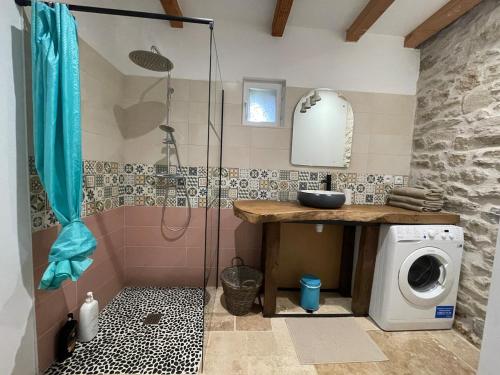 a bathroom with a shower and a washing machine at Nature en ville in Saint-Herblain