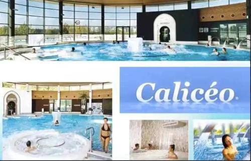 un collage de photos d'une piscine dans l'établissement Nature en ville, à Saint-Herblain