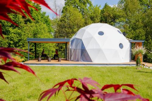 Cozy Fizio Dome