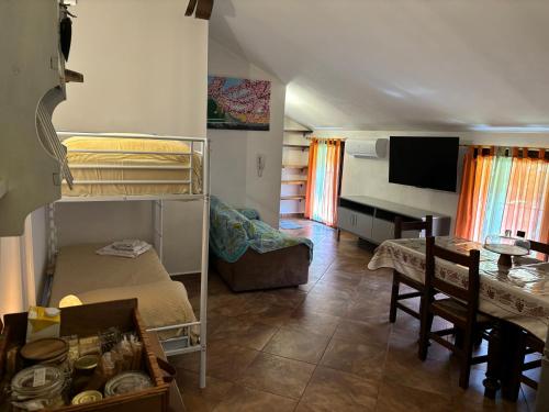 a bedroom with a bunk bed and a dining room at Agriturismo San Michele in San Michele