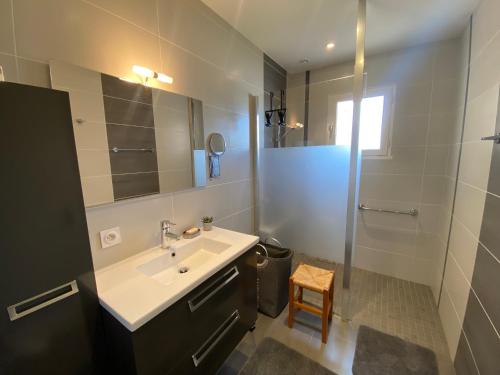 une salle de bain avec un lavabo, des toilettes et un miroir dans l'établissement Le Frangipanier, à Les Sables-dʼOlonne