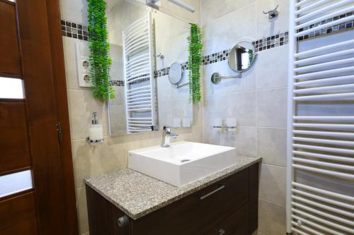 a bathroom with a sink and a mirror at Madison Lux in Kisvárda