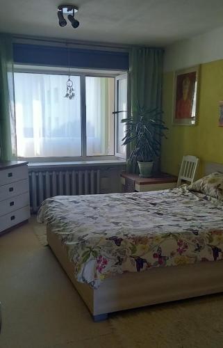 Un dormitorio con una cama grande y una ventana. en 2-room apartment with balcony 60m2 in Viimsi center, en Haabneeme