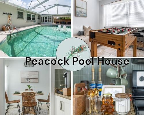 a collage of photos of a pool house at Peacock Pool House & Hot Tub Clearwater beaches in Clearwater