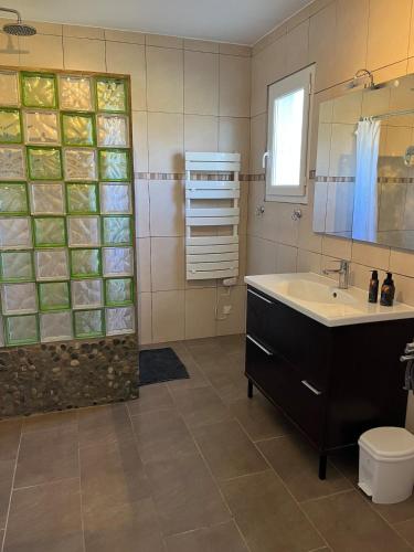 une salle de bain avec un lavabo, une douche et des toilettes dans l'établissement Vacation home with a private pool in Puyméras, à Puyméras