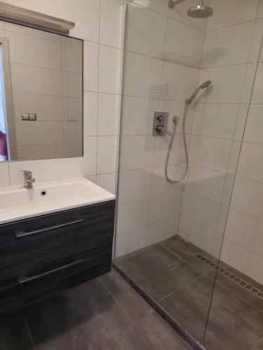 Fotografie z fotogalerie ubytování Apartman 3 kk, Moto GP 5min, garáž v destinaci Veselka