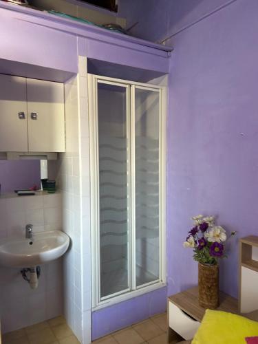 une salle de bain avec un lavabo et une douche en verre dans l'établissement La Maison du Bonheur, au Cap d'Agde
