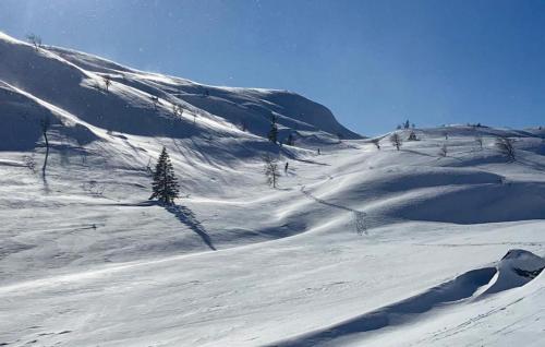 a snow covered hill with trees on top of it at Nice Home In Åseral With House A Mountain View in Åseral