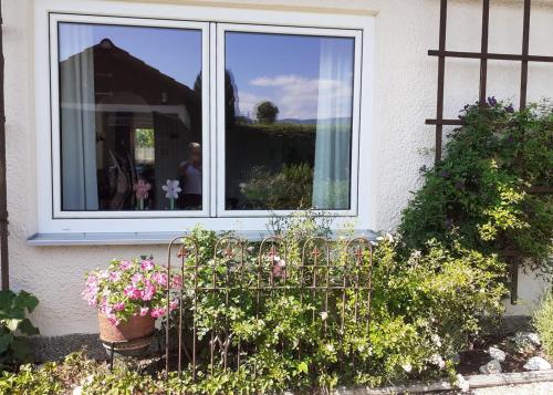 a window with a bunch of plants and flowers at Ferienwohnung Feßler in Steingaden