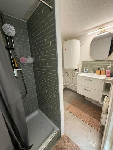 une salle de bain avec douche et lavabo dans l'établissement Lille, appartement de charme, à Lille