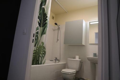 Magnifique studio emplacement premium