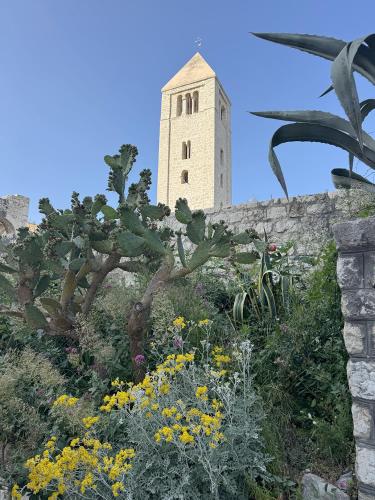 Studio Appartment & Rooms Old Town