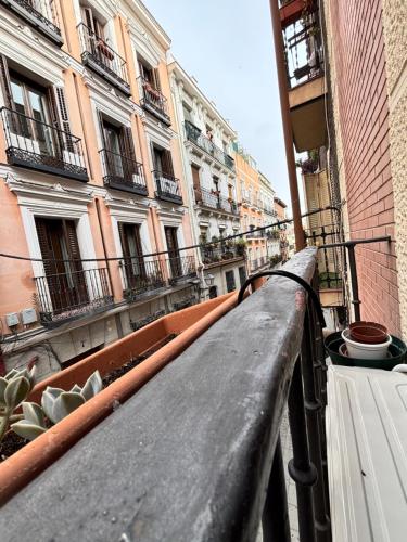 Ministriles Centro Temporal