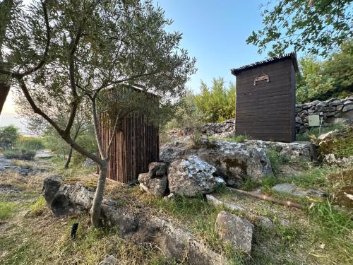 Un jardín fuera de Glamping Montenegro