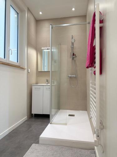 une salle de bain avec douche et lavabo dans l'établissement Appartement proche mer, à Royan