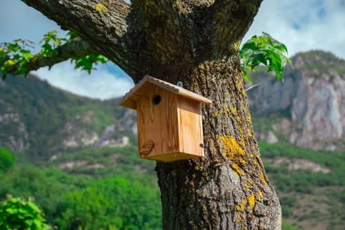 a wooden birdhouse on the side of a tree at Camping écovillage Soleil du Pibeste in Agos-Vidalos