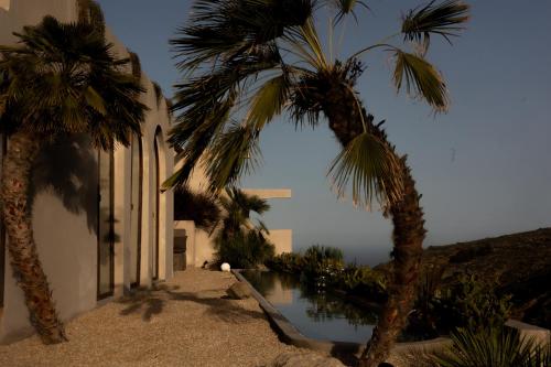 a building with palm trees next to a swimming pool at Ecohotel El Agua in Arico el Nuevo