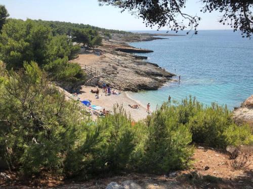 Φυσικό τοπίο κοντά σε αυτό το διαμέρισμα