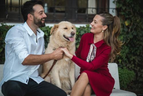Κατοικίδιο ή κατοικίδια επισκεπτών που μένουν στο Juliette Posada Boutique Ex Posada La Villa